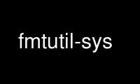 Run fmtutil-sys in OnWorks free hosting provider over Ubuntu Online, Fedora Online, Windows online emulator or MAC OS online emulator