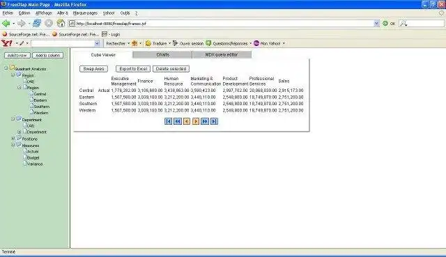 Download web tool or web app FreeOlap