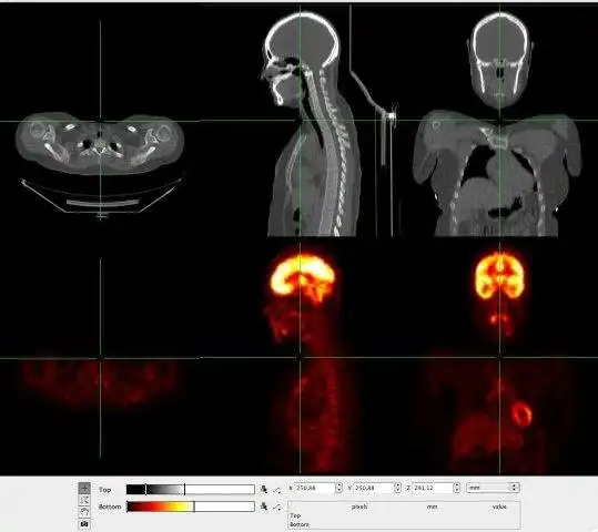 Muat turun alat web atau aplikasi web FusionViewer