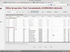 Download webtool of webapp FwGuardian