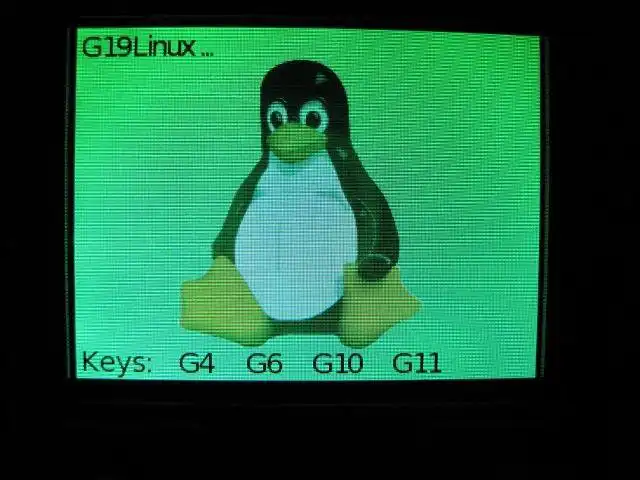 Download web tool or web app G19Linux