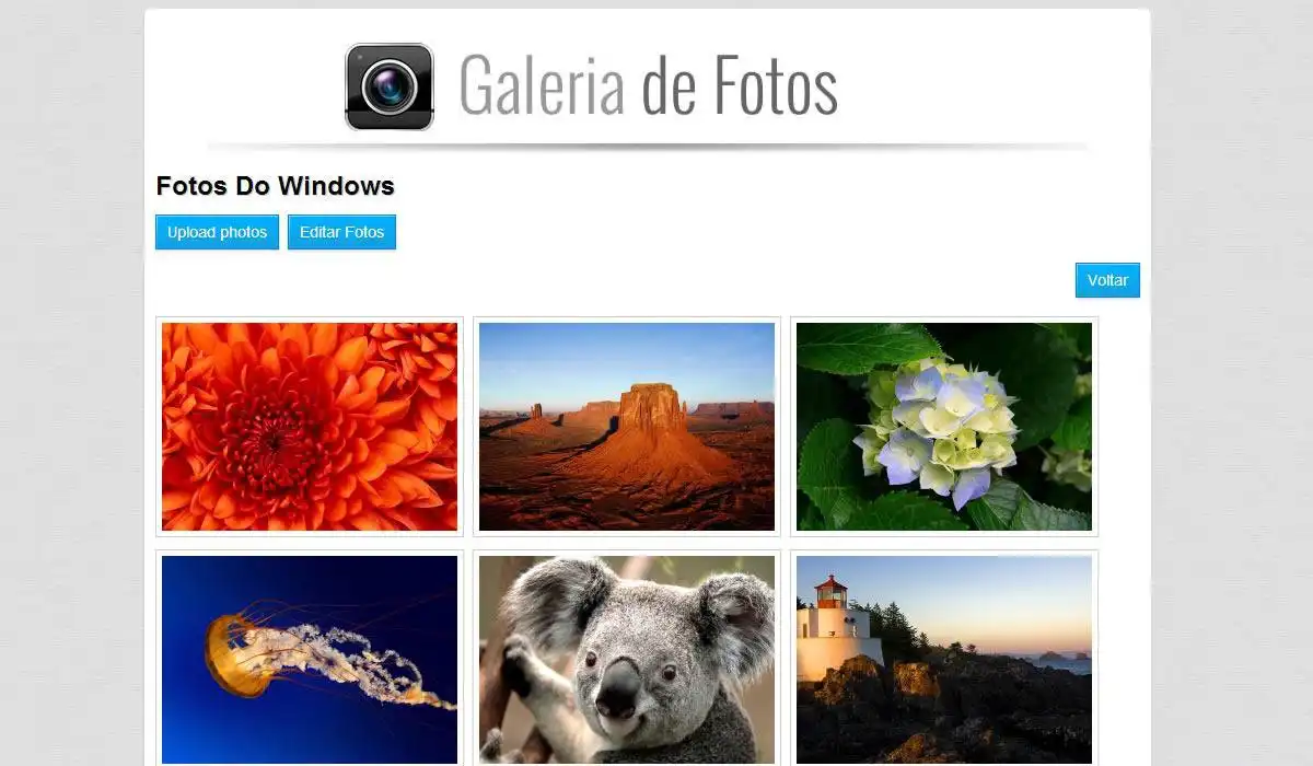 Download web tool or web app Galeria de Fotos sem Banco de Dados