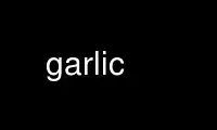 Execute o garlic no provedor de hospedagem gratuita OnWorks no Ubuntu Online, Fedora Online, emulador online do Windows ou emulador online do MAC OS