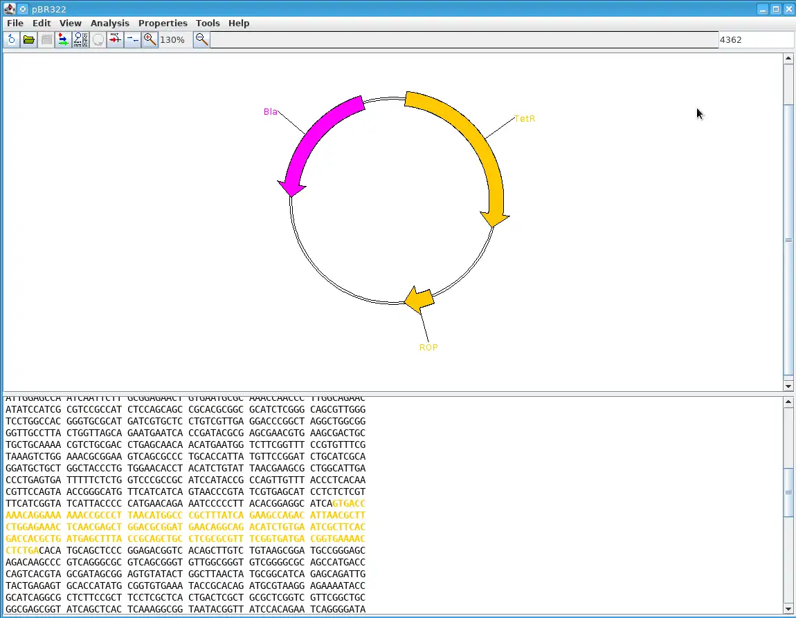 Download web tool or web app GeneStudio to run in Windows online over Linux online
