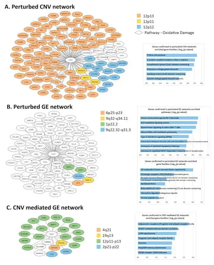 Download web tool or web app GENET-CNV