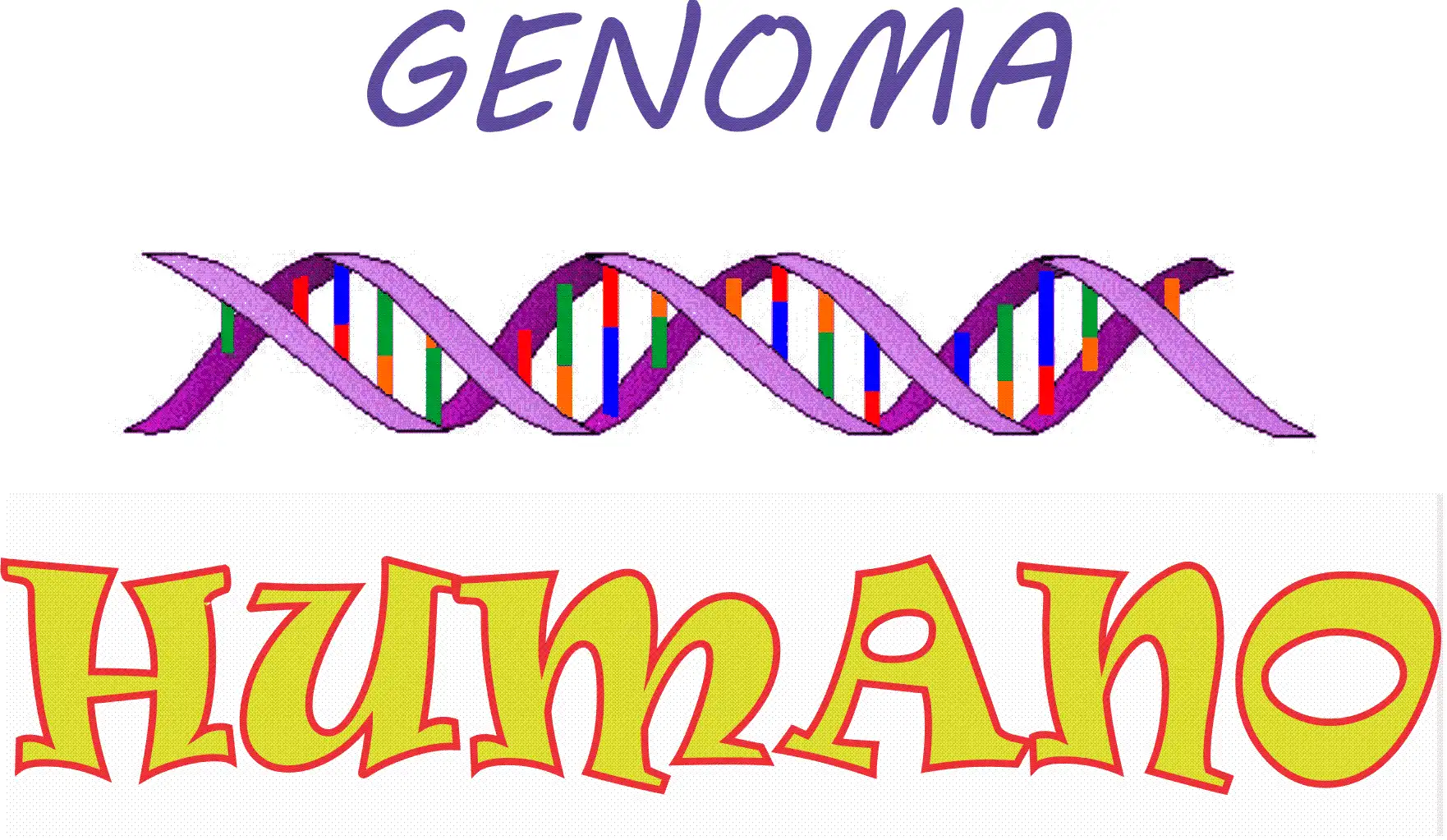 Download web tool or web app Genoma Humano