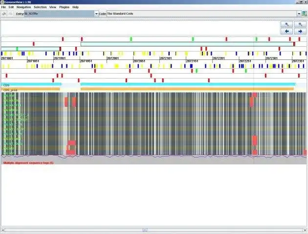 웹 도구 또는 웹 앱 GenomeView 다운로드