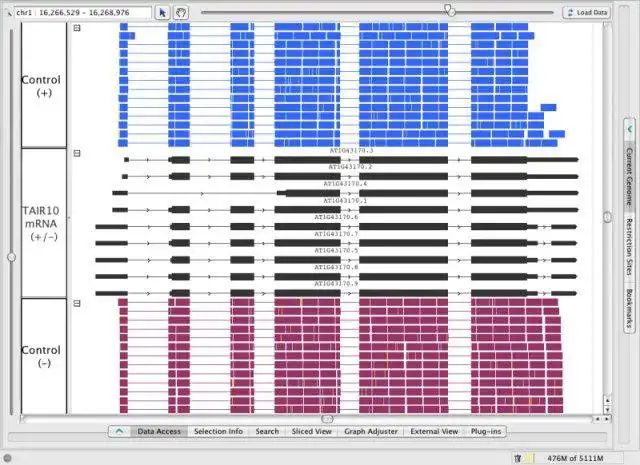 Download web tool or web app GenoViz