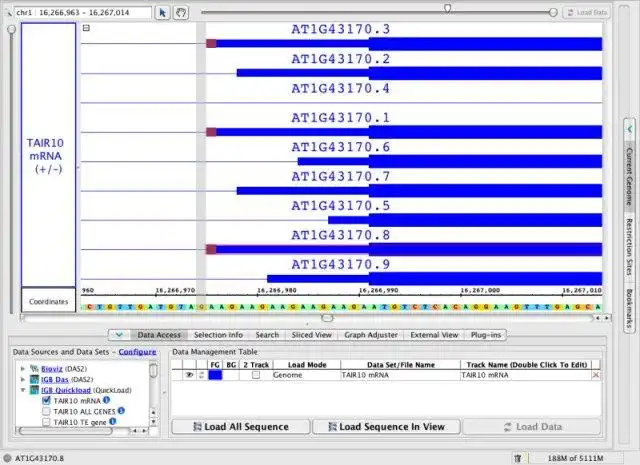 Загрузите веб-инструмент или веб-приложение GenoViz