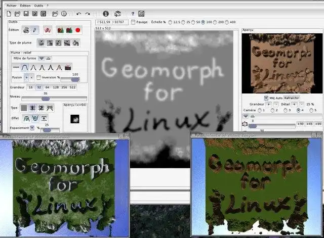 Download webtool of webapp Geomorph