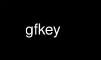 Run gfkey in OnWorks free hosting provider over Ubuntu Online, Fedora Online, Windows online emulator or MAC OS online emulator
