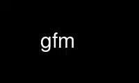 הפעל gfm בספק אירוח חינמי של OnWorks על אובונטו אונליין, פדורה אונליין, אמולטור מקוון של Windows או אמולטור מקוון של MAC OS