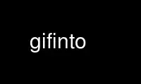 Run gifinto in OnWorks free hosting provider over Ubuntu Online, Fedora Online, Windows online emulator or MAC OS online emulator