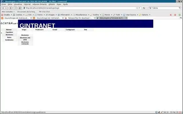 Загрузите веб-инструмент или веб-приложение GIntranet