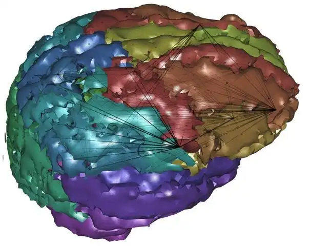 Pobierz narzędzie internetowe lub aplikację internetową GlassBrain