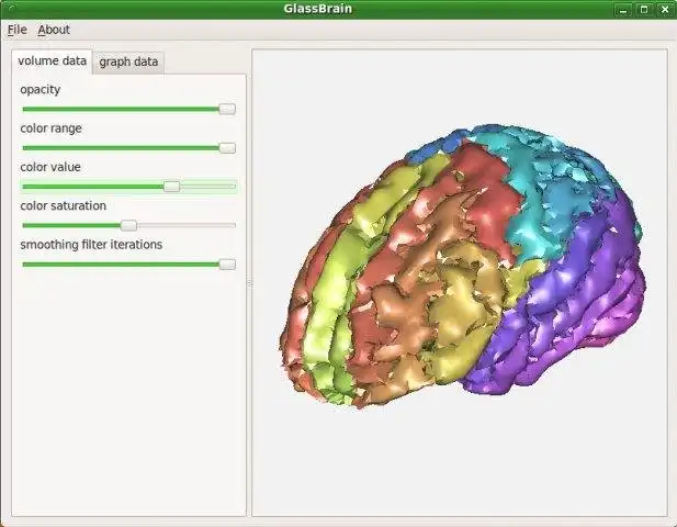 Download web tool or web app GlassBrain