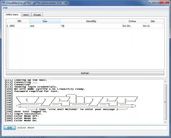 Download web tool or web app glFTPd Administrator