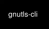 Run gnutls-cli in OnWorks free hosting provider over Ubuntu Online, Fedora Online, Windows online emulator or MAC OS online emulator