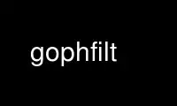 Run gophfilt in OnWorks free hosting provider over Ubuntu Online, Fedora Online, Windows online emulator or MAC OS online emulator