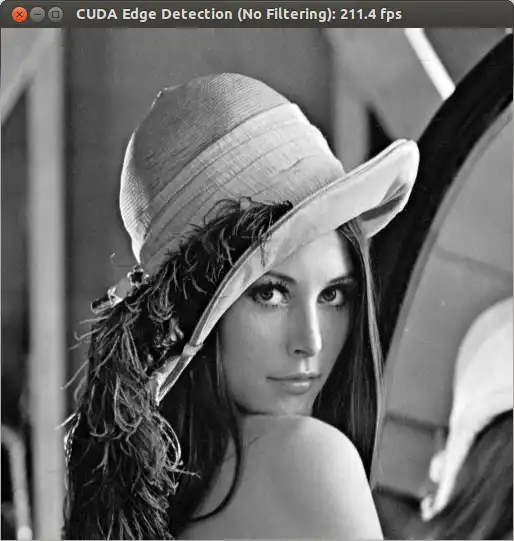Download web tool or web app GPU Edge Detector