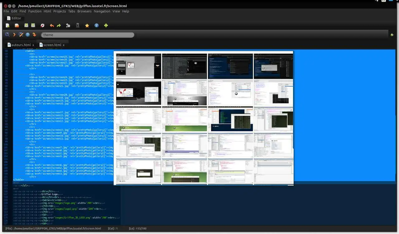 Descărcați instrumentul web sau aplicația web Griffon IDE