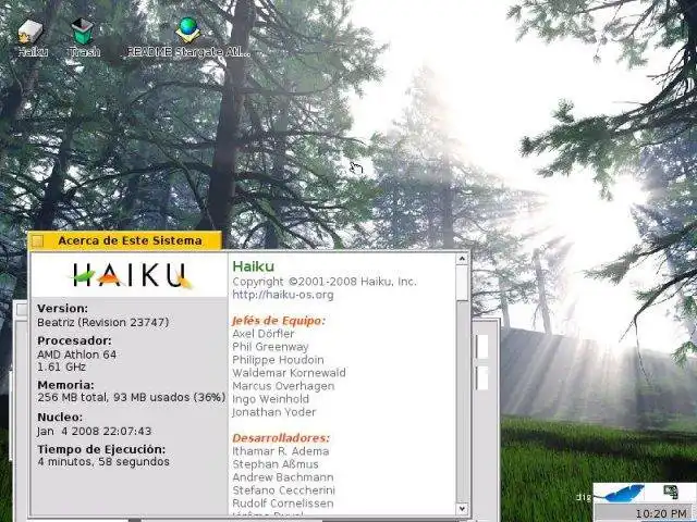 Download web tool or web app Haiku-es