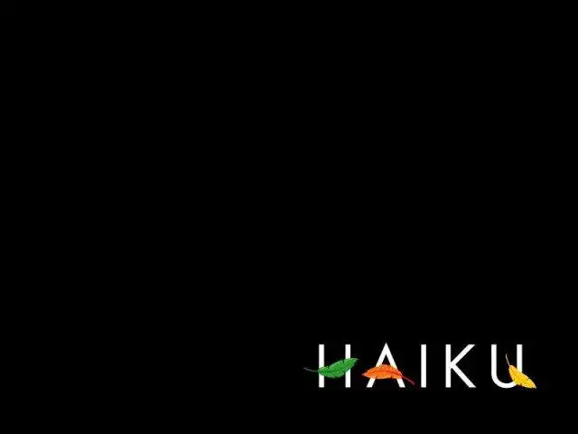 Download web tool or web app Haiku-es