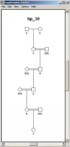 Tải xuống công cụ web hoặc ứng dụng web HaploPainter để chạy trong Linux trực tuyến