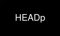 উবুন্টু অনলাইন, ফেডোরা অনলাইন, উইন্ডোজ অনলাইন এমুলেটর বা MAC OS অনলাইন এমুলেটরের মাধ্যমে OnWorks ফ্রি হোস্টিং প্রদানকারীতে HEADp চালান