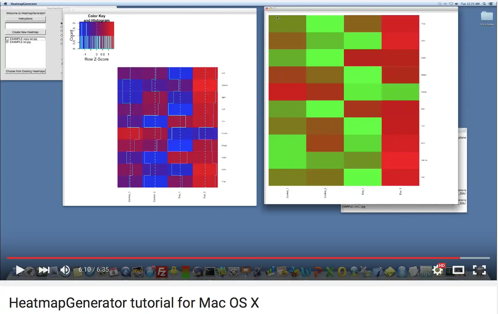 Download web tool or web app HeatmapGenerator