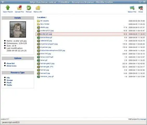 Download web tool or web app Herac File Browser Extension