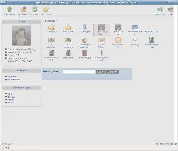 Download web tool or web app Herac File Browser Extension