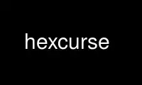 Execute hexcurse no provedor de hospedagem gratuita OnWorks no Ubuntu Online, Fedora Online, emulador online do Windows ou emulador online do MAC OS