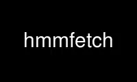 ແລ່ນ hmmfetch ໃນ OnWorks ຜູ້ໃຫ້ບໍລິການໂຮດຕິ້ງຟຣີຜ່ານ Ubuntu Online, Fedora Online, Windows online emulator ຫຼື MAC OS online emulator