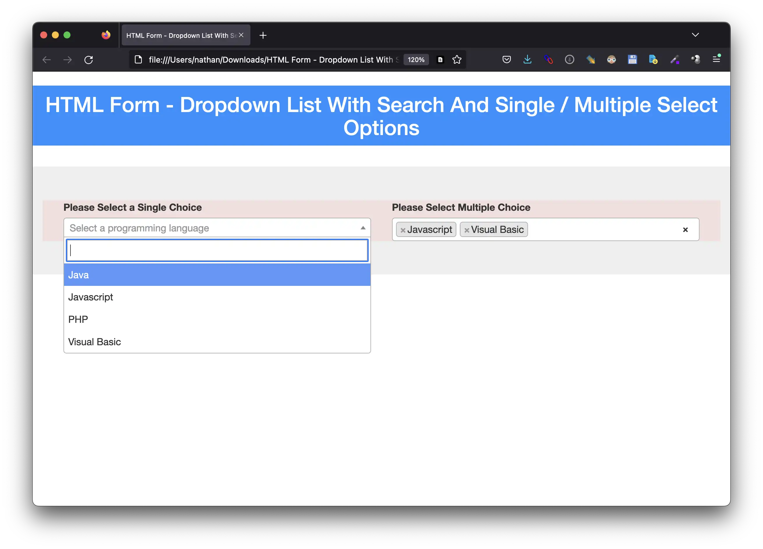 Download web tool or web app HTML Form - Dropdown List With Search