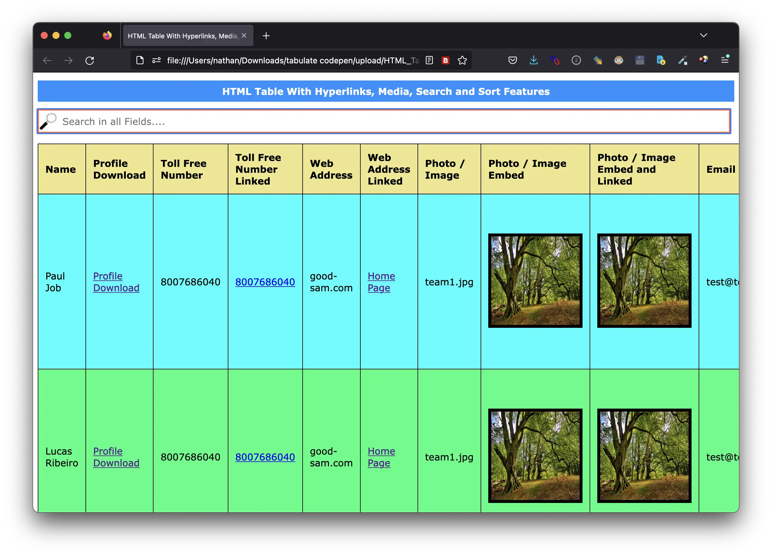 Scarica lo strumento Web o il modello di tabella HTML dell'app Web con tutte le funzionalità