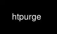 Run htpurge in OnWorks free hosting provider over Ubuntu Online, Fedora Online, Windows online emulator or MAC OS online emulator