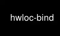 Patakbuhin ang hwloc-bind sa OnWorks na libreng hosting provider sa Ubuntu Online, Fedora Online, Windows online emulator o MAC OS online emulator