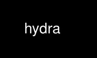 Run hydra in OnWorks free hosting provider over Ubuntu Online, Fedora Online, Windows online emulator or MAC OS online emulator