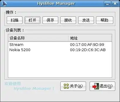 Scarica lo strumento web o l'app web HysBlue Manager