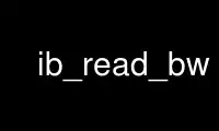 Run ib_read_bw in OnWorks free hosting provider over Ubuntu Online, Fedora Online, Windows online emulator or MAC OS online emulator