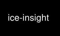 Magpatakbo ng ice-insight sa OnWorks na libreng hosting provider sa Ubuntu Online, Fedora Online, Windows online emulator o MAC OS online emulator