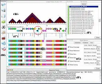 Téléchargez l'outil Web ou l'application Web IGBM pour l'exécuter sous Windows en ligne sur Linux en ligne