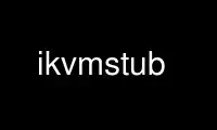 Run ikvmstub in OnWorks free hosting provider over Ubuntu Online, Fedora Online, Windows online emulator or MAC OS online emulator