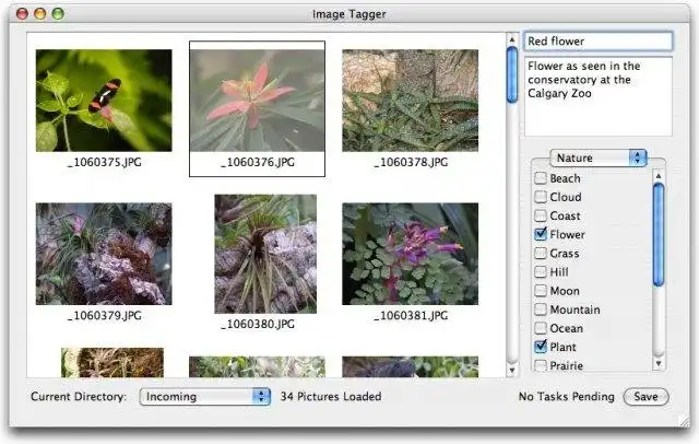ดาวน์โหลดเครื่องมือเว็บหรือเว็บแอป Image Tagger