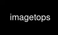 Run imagetops in OnWorks free hosting provider over Ubuntu Online, Fedora Online, Windows online emulator or MAC OS online emulator