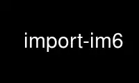 ດໍາເນີນການ import-im6 ໃນ OnWorks ຜູ້ໃຫ້ບໍລິການໂຮດຕິ້ງຟຣີຜ່ານ Ubuntu Online, Fedora Online, Windows online emulator ຫຼື MAC OS online emulator