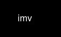 Magpatakbo ng imv sa OnWorks na libreng hosting provider sa Ubuntu Online, Fedora Online, Windows online emulator o MAC OS online emulator