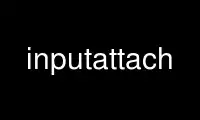 Run inputattach in OnWorks free hosting provider over Ubuntu Online, Fedora Online, Windows online emulator or MAC OS online emulator