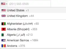 Web aracını veya web uygulamasını indirin Uluslararası Telefon Girişi